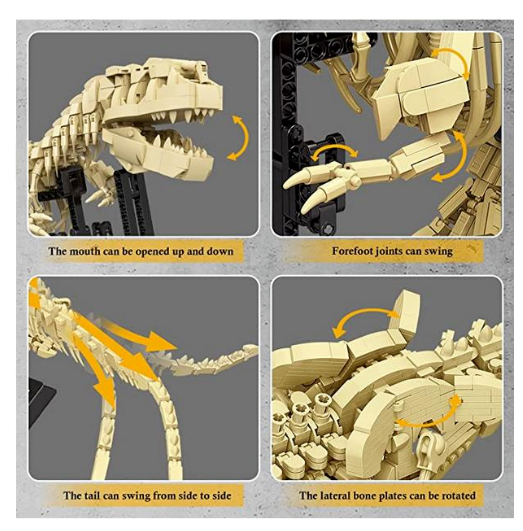 FC6212 Forange T-Rex Fossil